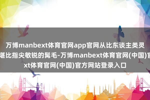 万博manbext体育官网app官网从比东谈主类灵敏13倍的鼻子到堪比指尖敏锐的髯毛-万博manbext体育官网(中国)官方网站登录入口