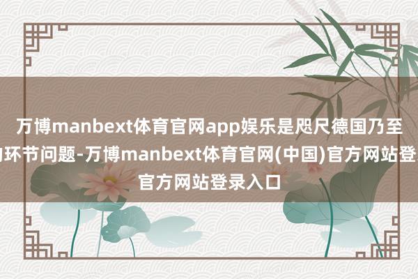 万博manbext体育官网app娱乐是咫尺德国乃至欧洲的环节问题-万博manbext体育官网(中国)官方网站登录入口