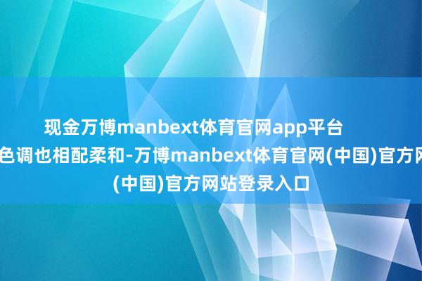 现金万博manbext体育官网app平台        况兼灰色的色调也相配柔和-万博manbext体育官网(中国)官方网站登录入口