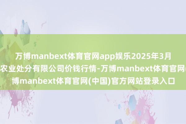 万博manbext体育官网app娱乐2025年3月2日邯郸缔造区滏东当代农业处分有限公司价钱行情-万博manbext体育官网(中国)官方网站登录入口