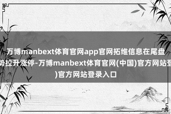万博manbext体育官网app官网拓维信息在尾盘阶段强势拉升涨停-万博manbext体育官网(中国)官方网站登录入口