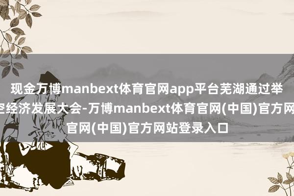 现金万博manbext体育官网app平台芜湖通过举办2025低空经济发展大会-万博manbext体育官网(中国)官方网站登录入口