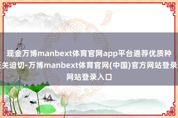 现金万博manbext体育官网app平台遴荐优质种子至关迫切-万博manbext体育官网(中国)官方网站登录入口