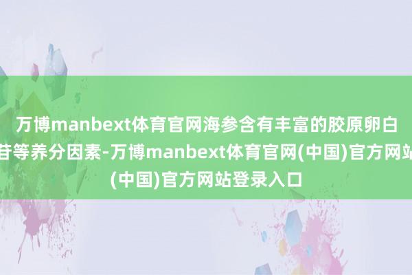 万博manbext体育官网海参含有丰富的胶原卵白、海参皂苷等养分因素-万博manbext体育官网(中国)官方网站登录入口