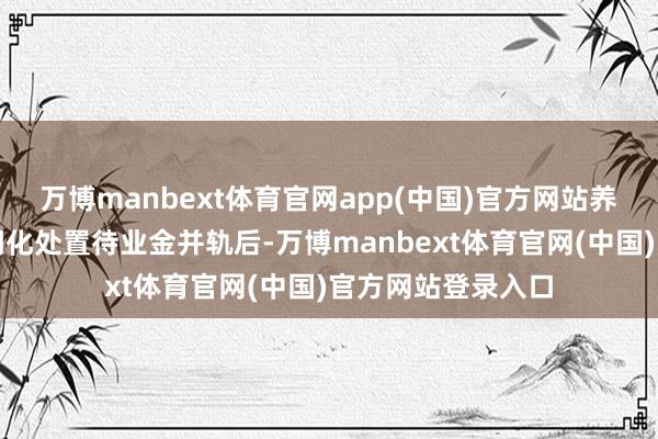 万博manbext体育官网app(中国)官方网站养老保障基金的步调化处置待业金并轨后-万博manbext体育官网(中国)官方网站登录入口
