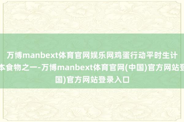 万博manbext体育官网娱乐网鸡蛋行动平时生计中的基本食物之一-万博manbext体育官网(中国)官方网站登录入口