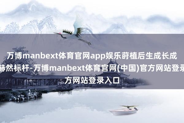 万博manbext体育官网app娱乐莳植后生成长成才的赫然标杆-万博manbext体育官网(中国)官方网站登录入口