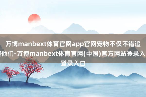 万博manbext体育官网app官网宠物不仅不错追随他们-万博manbext体育官网(中国)官方网站登录入口